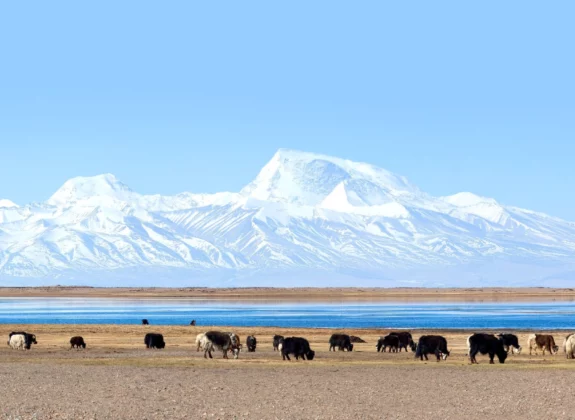 The Lhasa Mt. Kailash Tour