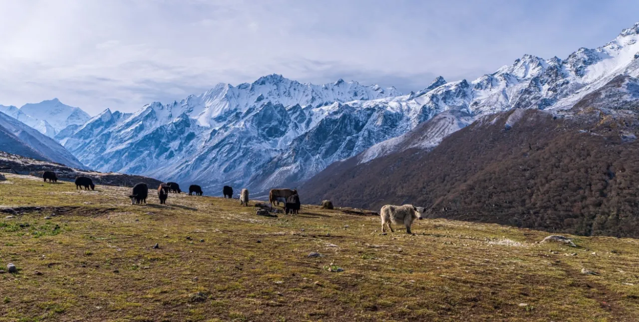 Langtang Ganja La Trek
