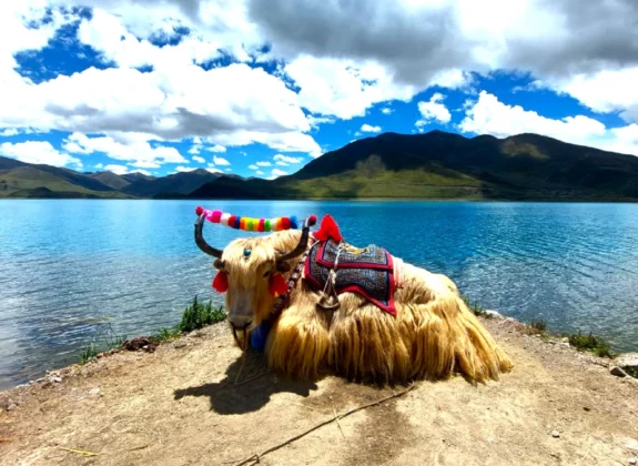 Central Tibet Tour