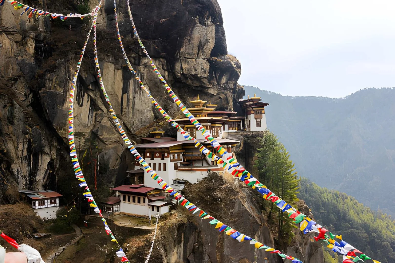 tiger-nest